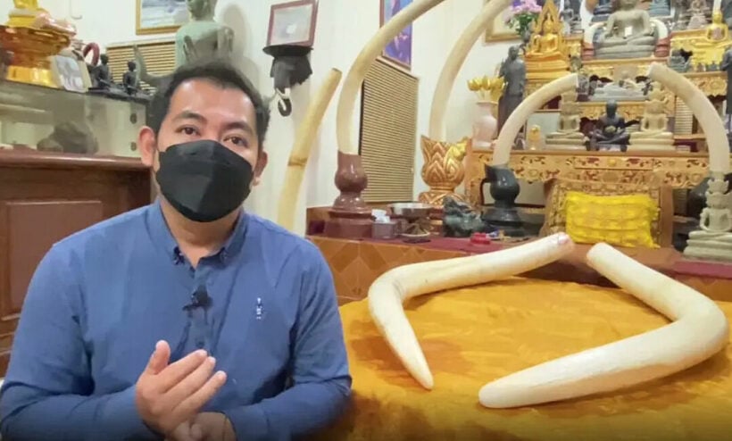 Elephant tusks hoped to raise 25 million baht for conservation