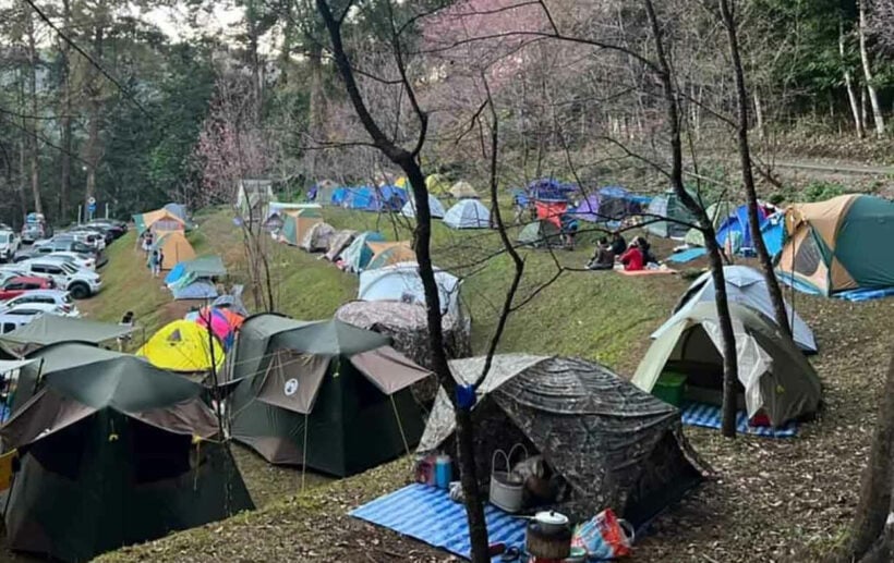 Doi Inthanon sees rush of New Year’s campers