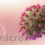 55% rise in infections and deaths from Covid virus | Thaiger