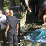 Tycoon Premchai sentenced to 3 years, 2 months for poaching | Thaiger