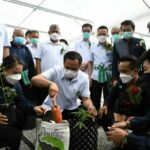Confusion over cannabis laws, Thai officials consider decriminalisation | Thaiger