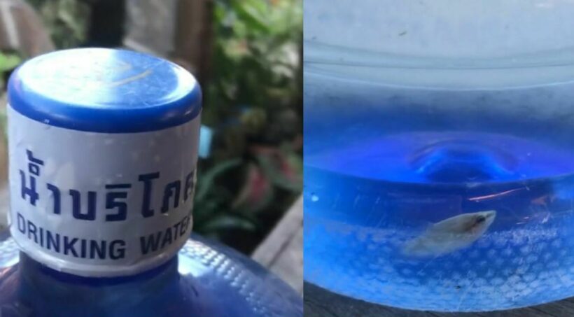 Drinking water plant forced to suspend operations after fish found in sealed jug