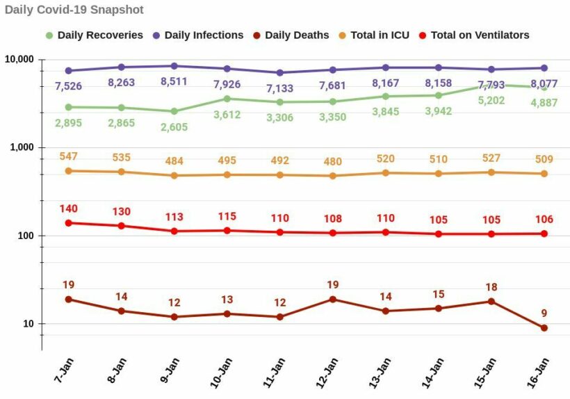 COVID-19 SUNDAY: Record low deaths, 8,077 infections | News by Thaiger