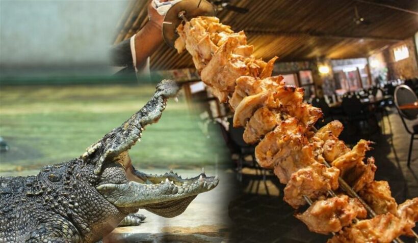 Crocodile consumption craze caused by peak pork product prices