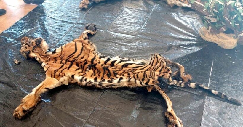 Police doubt the story as 5th suspect in tigers case is arrested