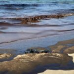 Rayong officials say clean-up of Mae Ram Phueng beach done, focus on Koh Samet | Thaiger