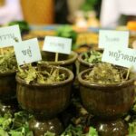 Herbal remedy could be up to 96 percent effective against Covid-19 | Thaiger