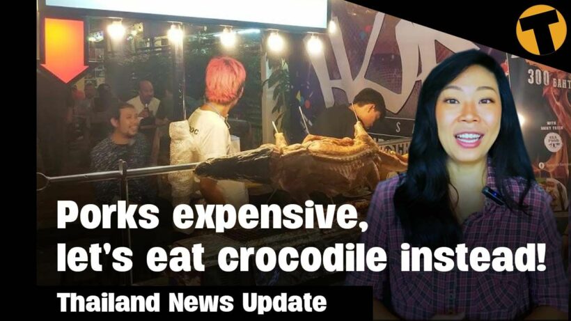 Thailand News Update | Rising pork prices leads Thais to eat crocodile instead!