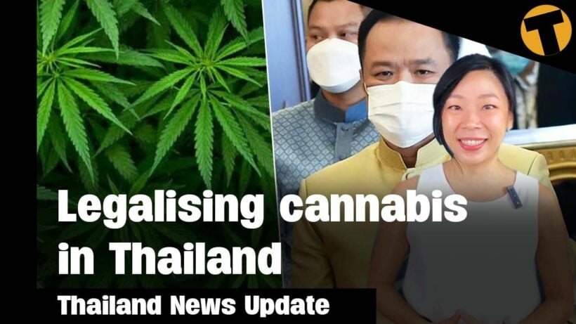 Thailand News Update | Legalising cannabis & 8 mil tourist to Thailand in 2022