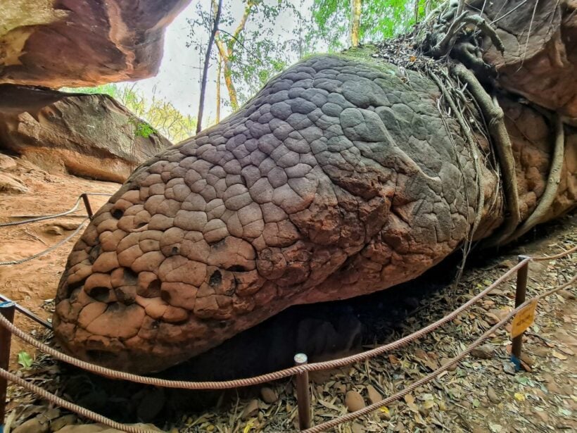 Rock in Naga Cave looks like mythical snake, drives up tourism in Bueng Kan  | Thaiger