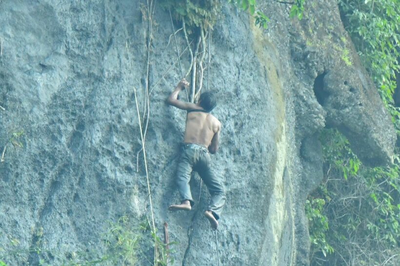 Man rescued after hanging from cliff overnight, held up by shirt tied to trees