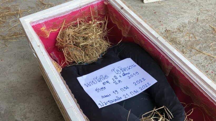 Monks host funeral for scarecrow named ‘Covid’ to ward off disease