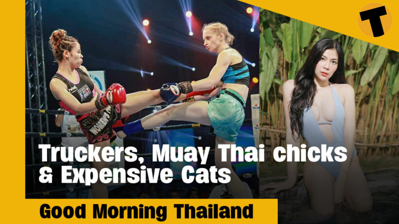 Truckers, Muay Thai chicks & Expensive Cats | GMT