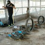 Officers seize monitor lizards, monkeys from farm suspected of exporting to restaurants | Thaiger