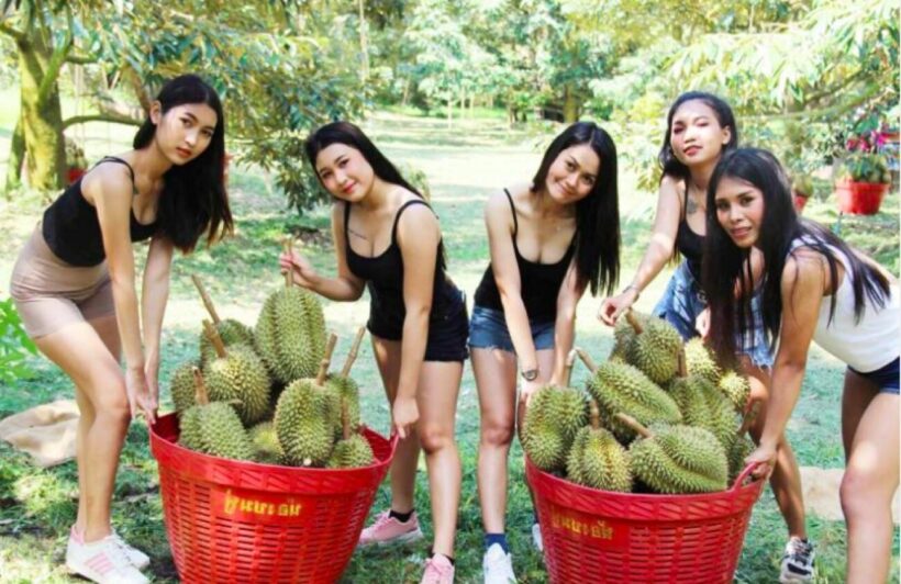 Thai durian farmers prepare to face China’s zero-Covid-19 policy at the border, again