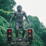 Calls for campaign to teach drivers to stop at red lights (yes, really) | Thaiger