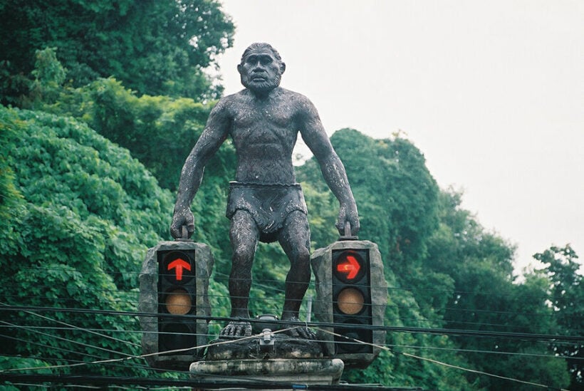 Calls for campaign to teach drivers to stop at red lights (yes, really)