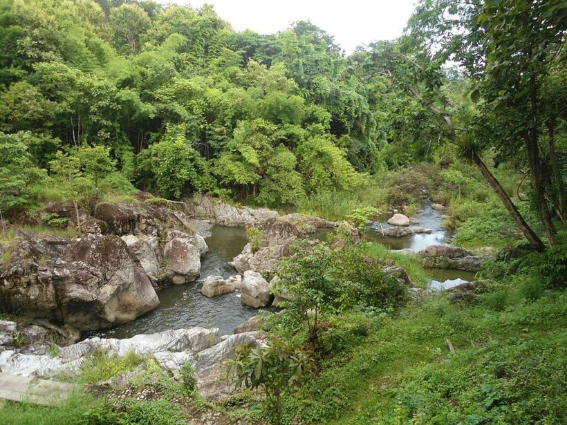 Monks who got lost found in Northern Thai national park