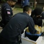 Police arrest alleged kingpin of drug network in Northern Thailand | Thaiger