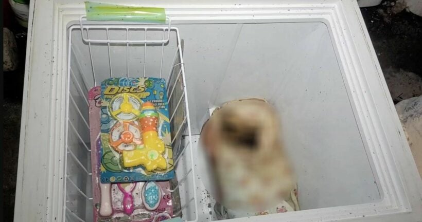 dead baby was found in a freezer