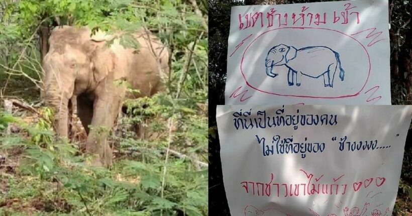 Thai villagers put up sign told tell an aggressive elephant to go away