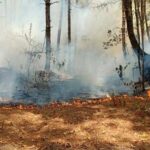 Chiang Mai residents to get free face masks as dangerous air pollution soars | Thaiger