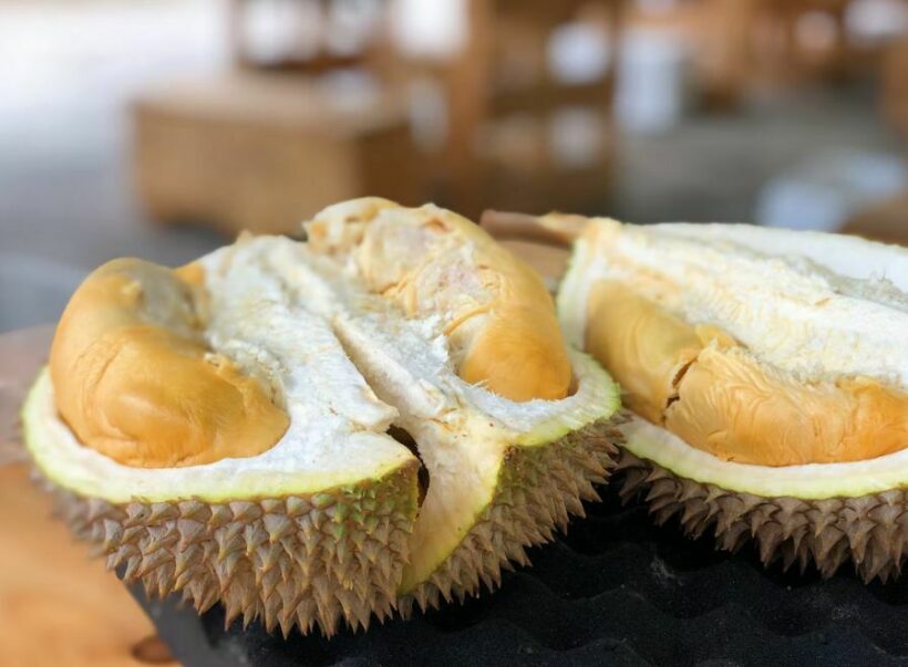 Thailand government warns of jail time for selling unripe durian