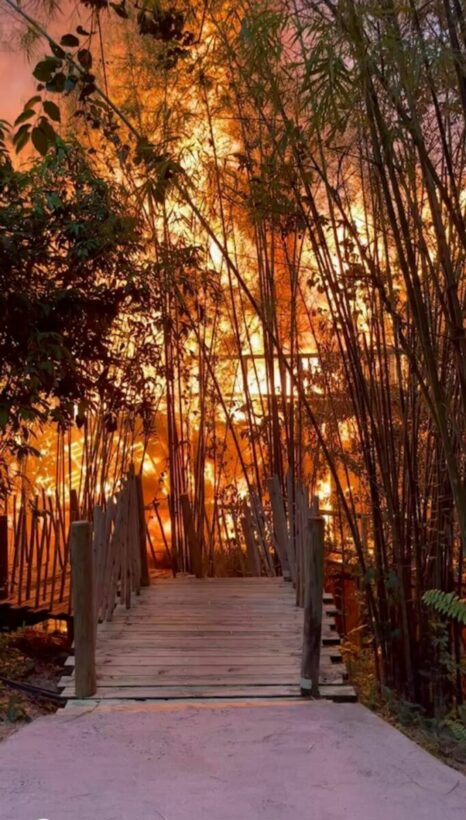 Fire breaks out at luxury Koh Kut resort burning villa to the ground, guests narrowly escape | News by Thaiger
