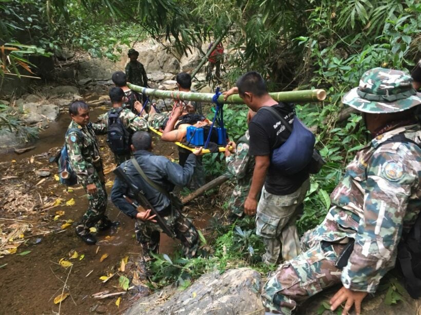 Wild bull attack injures two park rangers in Phetchabun