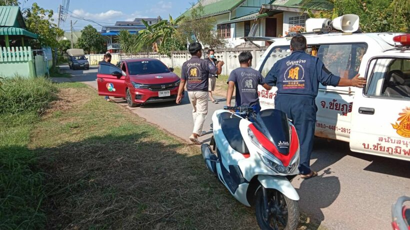 90 year old woman in Thailand dies from wasp attack