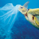 Thailand bans single-use plastics from national parks, know before you go | Thaiger