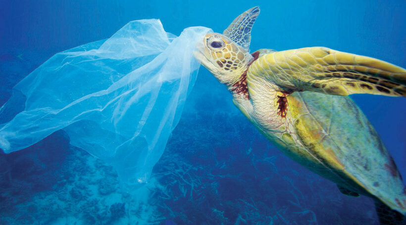 Thailand slides down world’s marine plastic index