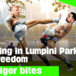 Travelling to Thailand, Censorship &#038; Freedom of Speech | Thaiger Bites | Thaiger