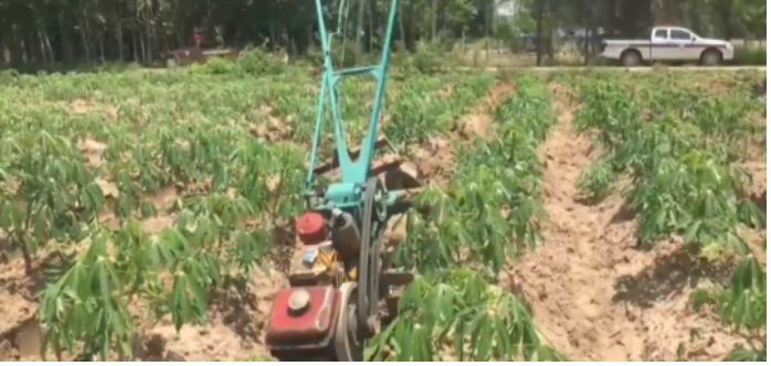 Chon Buri field worker believed to have died of heat stroke