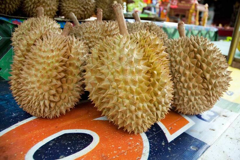 China warns Thailand to fix durian Covid-19 problem or face export ban