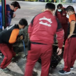 Tiny kitten rescued from gutter in Chon Buri | Thaiger