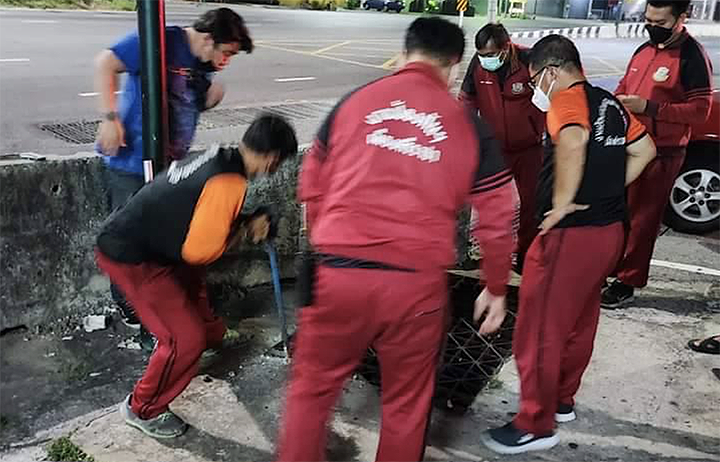 Tiny kitten rescued from gutter in Chon Buri