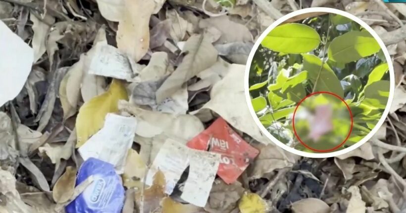 Residents call for action after finding used condoms at Pattaya public park