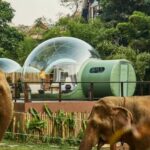 Top 5 hotels you should stay in Chiang Rai 2022 | Thaiger