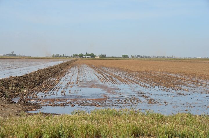 Man in Southern Thailand believed to have drowned after fishing in flooded rice field