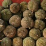 Thai durian shipment to China detected with Covid 19 on packaging | Thaiger
