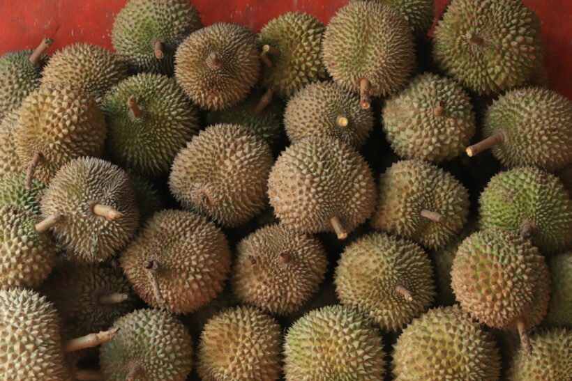 Thai durian shipment to China detected with Covid 19 on packaging