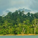 Tourists who went missing in southern Thailand park found safe | Thaiger