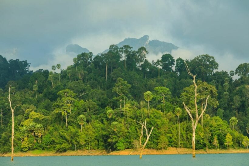 Tourists who went missing in southern Thailand park found safe