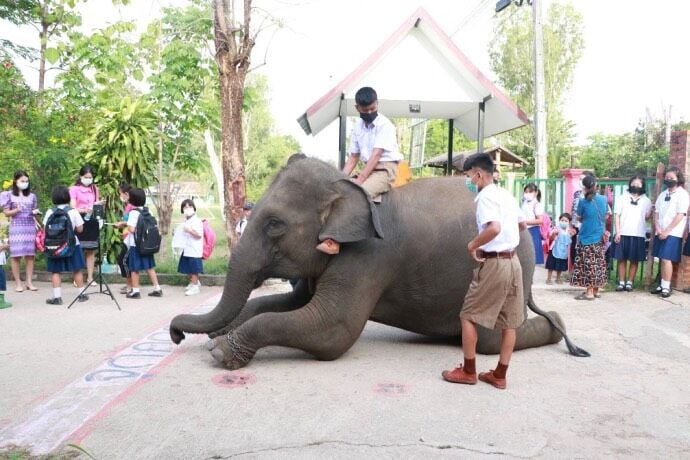 Students ride elephants to school in northern Thailand