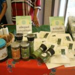 Phuket Food Festival 2022 will feature hemp recipies | Thaiger