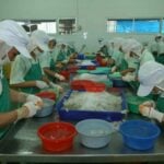 First group of &#8216;official&#8217; Burmese migrant workers enter Thailand to bolster labour market | Thaiger