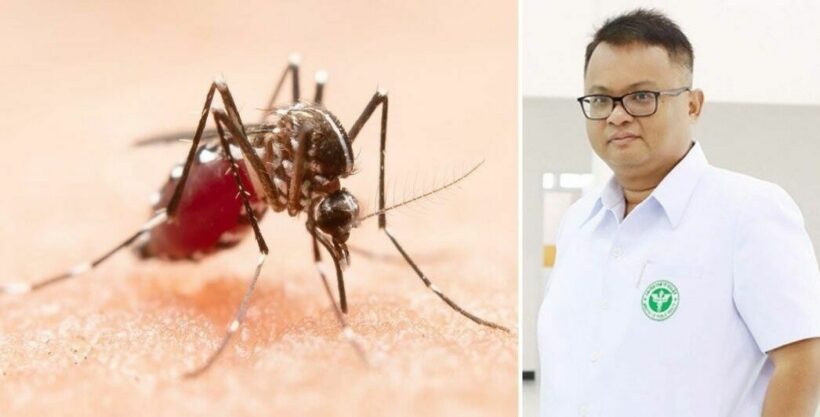 Risk of dengue fever is higher in rainy season, warns Thai doctor