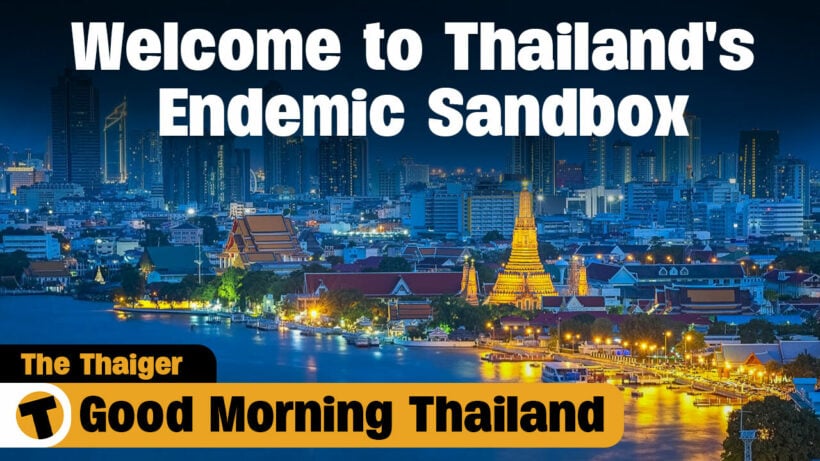 Welcome to Thailand’s Endemic Sandbox | GMT