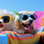 Hot, damn hot &#8211; 10 ways to cope with humidity in Thailand | Thaiger